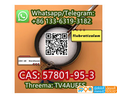 Flubrotizolam  57801-95-3  Whatsapp:+8613363193182 - صورة 3