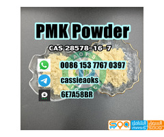 Pmk Chemical Cas 28578-16-7 PMK Powder - صورة 2