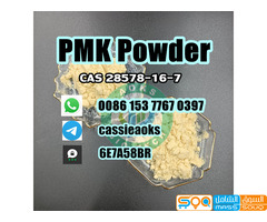 Pmk Chemical Cas 28578-16-7 PMK Powder - صورة 3
