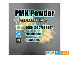 Pmk Chemical Cas 28578-16-7 PMK Powder - صورة 4