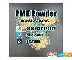 Pmk Chemical Cas 28578-16-7 PMK Powder - صورة 5