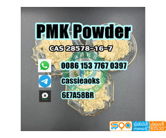 Cas 28578-16-7 Pmk Powder/oil PMK ethyl glycidate - صورة 2