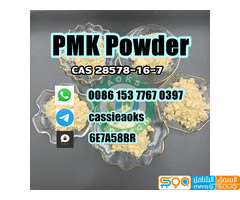 Factory Supply CAS 28578-16-7 PMK Oil PMK Powder Warehouse In Stock