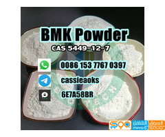 Europe warehouse bmk cas 5449–12–7 bmk powder - صورة 1