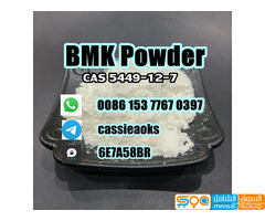 Bmk powder cas 5449-12-7 bmk glycidic acid powder - صورة 1