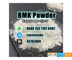 Bmk Fast Delivery High Purity Bmk Powder Cas 5449-12-7 - صورة 5