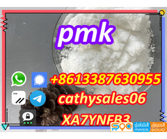 high purity ,pmk powder ready to ship 75 rate 28578-16-7 p wax