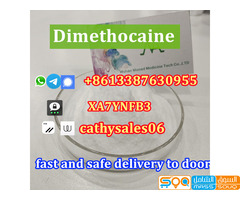 China Supply 99% High Quality Dimethocain Powder/ Larocaine CAS 94-15-5 for Pain Killer