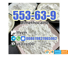 553-63-9 Supply best price Dimethocaine