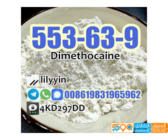 553-63-9 China Factory Dimethocaine hcl - صورة 3