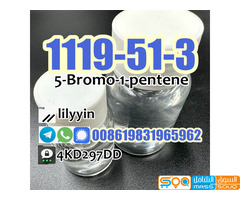 Supply 1119-51-3 5-Bromo-1-pentene