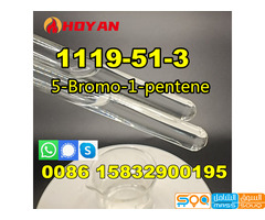 Buy 1119-51-3 liquid 5-Bromo-1-pentene with safe delivery CAS 1119-51-3