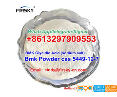 Bmk Powder BMK Glycidic Acid (sodium salt) cas 5449-12-7 WhatsApp/Telegram/Signal+8613297903553 - صورة 6
