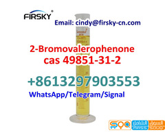 High quality 2-Bromovalerophenone cas 49851-31-2  with low price moscow warehouse WhatsApp/Telegram/ - صورة 4