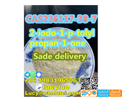 CAS236117-38-7 2-iodo-1-p-tolylpropan-1-one