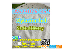 CAS23076-35-8 Xylazine hydrochloride - صورة 2