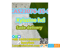 CAS23076-35-8 Xylazine hydrochloride - صورة 3