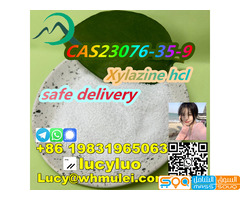 CAS23076-35-8 Xylazine hydrochloride - صورة 5