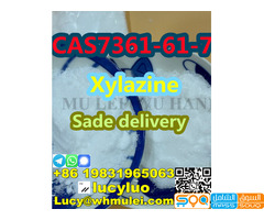 CAS7361-61-7 Xylazine