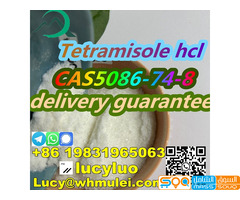 CAS5086-74-8Tetramisole hydrochloride