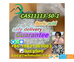 CAS11113-50-1	Boric acid