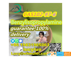 CAS102-90-6Benzylisopropylamine