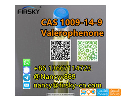 Factory Supply CAS 1009-14-9 Valerophenone Large Stock WA+8613667114723