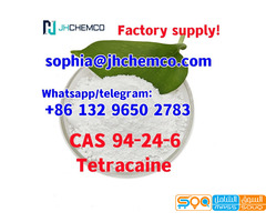 Factory supply CAS 94-24-6 Tetracaine with fast delivery - صورة 3