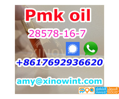 wholesale bulk price Cas 28578-16-7 New Pmk Oil Pmk Glycidat oil 28578-16-7 with high quality - صورة 2