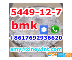 Best Price BMK Powder Glycidic Acid (sodium salt) CAS 5449-12-7 with high quality - صورة 2