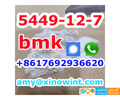 Best Price BMK Powder Glycidic Acid (sodium salt) CAS 5449-12-7 with high quality - صورة 3