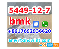 Best Price BMK Powder Glycidic Acid (sodium salt) CAS 5449-12-7 with high quality - صورة 4