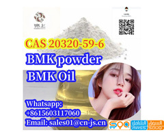 good price BMK Powder/Oil CAS20320-59-6