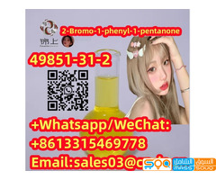 Hot Selling 49851-31-2 2-Bromo-1-phenyl-1-pentanone