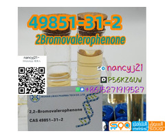 49851-31-2 2Bromovalerophenone - صورة 3