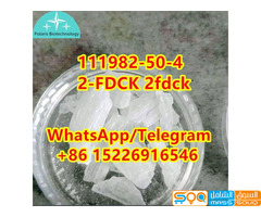 2-FDCK 2fdck CAS 111982-50-4	in stock	q3