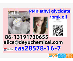 BMK Glycidate Colorless Oil CAS 718- 08-1 New PMK Oil CAS 28578-16-7