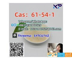Supply high quality  cas:61-54-1             Tryptamine  WhatsApp:+8617331907525