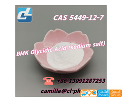 High quality Cas 5449-12-7 BMK Glycidic Acid (sodium salt)