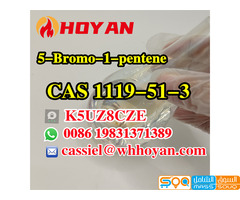 High Quality Factory Supply 5-Bromo-1-Pentene Liquid CAS 1119-51-3
