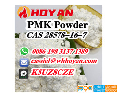 CAS 28578-16-7 PMK powder oil in stock