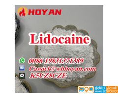 Lidocaine Powder CAS 137-58-6 for Pain Killer with Good Price From China Factory