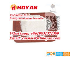 CAS 6876-37-5 Methylamine Hydrobromide in stock