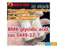 glycidic acid +19565688180 BMK glycidic acid cas 5449-12-7 BMK glycidic acid(podwer) UK/Germany/pola
