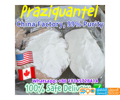Whatsap:+86 18145728414, 99% Pure Praziquantel Prazicuantel Powder CAS 55268-74-1 Safe Delivery