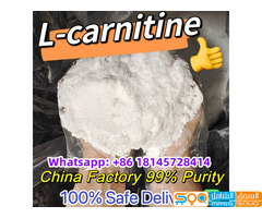Whatsap:+86 18145728414, 99% Pure L-carnitine Powder CAS 541-15-1 L-carnitina Em Po Polvo Safe Deliv - صورة 1