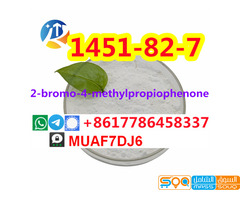 CAS1451-82-7 bk4 powder White powder 2-bromo-4-methylpropiophenone 1451 82 7 - صورة 3
