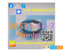 PMK 28578-16-7/148553-50-8 Fast Delivery ethyl glycidate PMK powder
