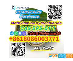 CAS 593-51-1 Methylamine hydrochloride High Quality Best Price   Whatsapp+8618086003771