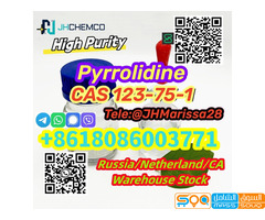 CAS 123-75-1 Pyrrolidine 99% Purity Low Price Whatsapp+8618086003771